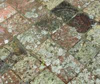 Picture of some Abbey floor tiles